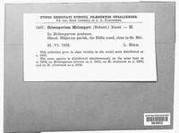 Image Associated With the Occurence